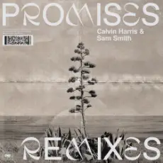 Calvin Harris;Sam Smith - Promises (David Guetta Remix)