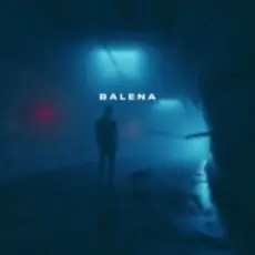 skyfall beats - balena