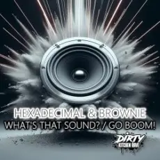 Hexadecimal & DJ Brownie - What's That Sound
