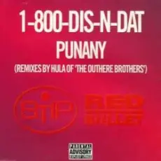 1-800-Dis-N-Dat - Punany (Hula's Underground Long)