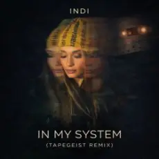 INDI - In My System