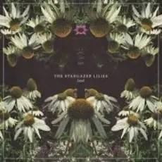 Lost World - Stargazer