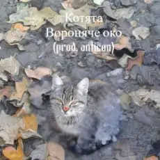 Вороняче око - котята (prod. anticøn)