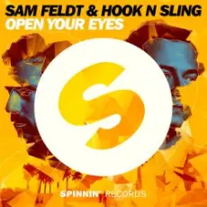 Sam Feldt - The Confession