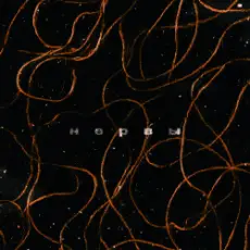 Лучнадежды - Нервы