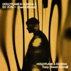 HOLLYFLAME & OLMEGA X DJ JON - Тону (Swan Blend)