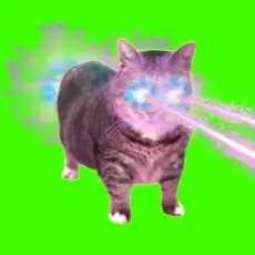 XertXetin - OIIA OIIA COSMIC CAT (Sped Up)