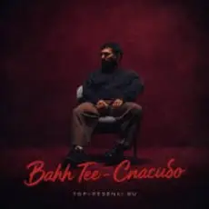 Bahh Tee - Спасибо