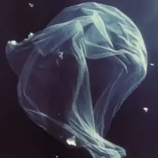 МʼЯТА & ХАС - Біла вуаль