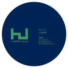 Burial - Ashtray Wasp