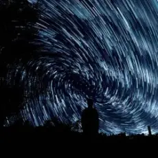 Whitewildbear - Breakdown (Without words)