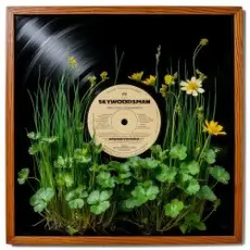 Skywoodsman - Душица-Чистотел