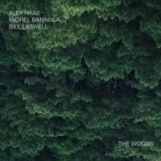 Bill Laswell - Outer Woo