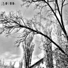 TheNobleMan - много дел