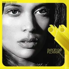 Aya - Put Your Faith in Us