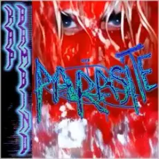 Kap Bambino - Took Life