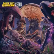 Infected Mushroom - Z.16 Open