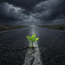 Matvik - Рухатись далі