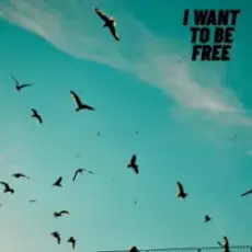 Roberto Pedoto - I Want To Be Free