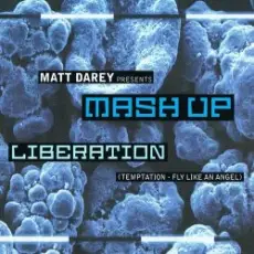 Matt Darey pres. Mash Up - Liberation (Ferry Corsten Remix)