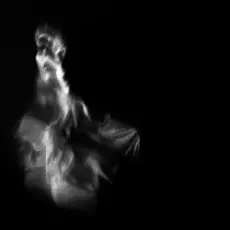 Anna Petrash - Цвіт