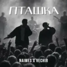 NAIMES & VECHIR - пташка