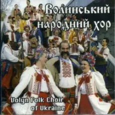 Ансамбль пісні і танцю 'Волинь' - Гарний козак, гарний