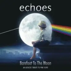 Echoes - Shine on you crazy diamond