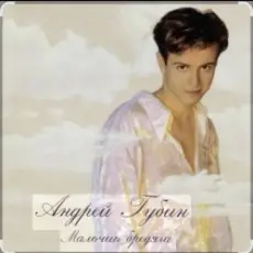 Андрей Губин - Мальчик бродяга