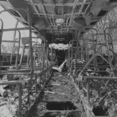 Son, Fire! - Град обреченный