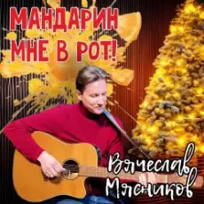 Вячеслав Мясников - Мандарин мне в рот!