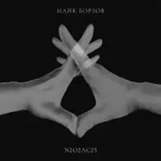 Найк Борзов - Полёт (Acoustic Version)