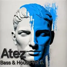 Atez - Bass House Vol5.