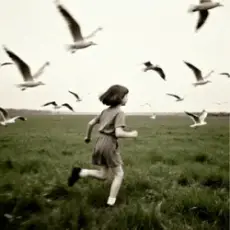 Music Inside - Щастя не купиш