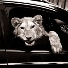 MACAN & Kiliana - Спокойной ночи