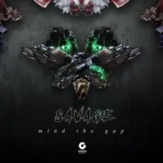Savage - Mind the Gap