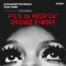 Felix Da Housecat - What Does It Feel Like