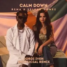 Rema & Selena Gomez - Calm Down
