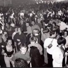 Encephaloid Disturbance - Sulk