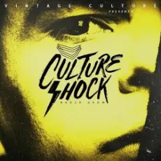 Vintage Culture - Culture Shock