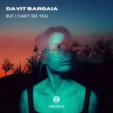 Davit Barqaia - But I Can t See You