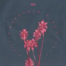 Feduk feat. Элджей - Розовое вино