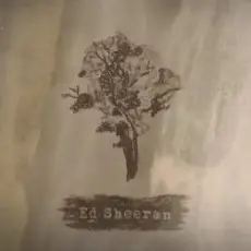 Ed Sheeran - Bloodstream