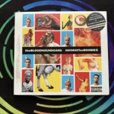 Bloodhound gang - I Hope You Die