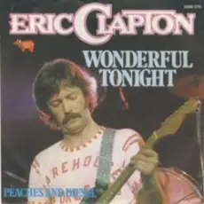 Eric Clapton - Wonderful Tonight