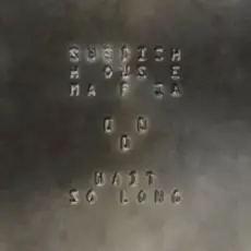 Swedish House Mafia - Wait So Long