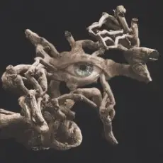 Аквариум - Незабыто