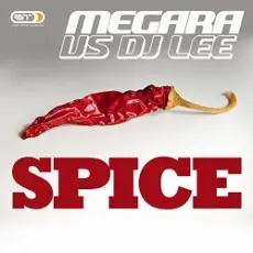 Megara vs. DJ Lee - Spice (Single Edit)