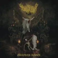 Dollhaver - Spitting Moths